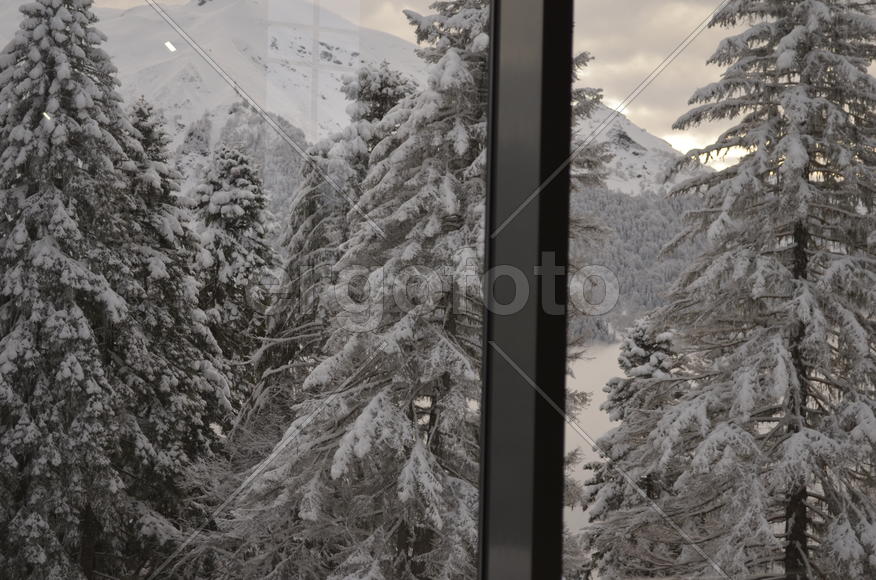 Вид из окна