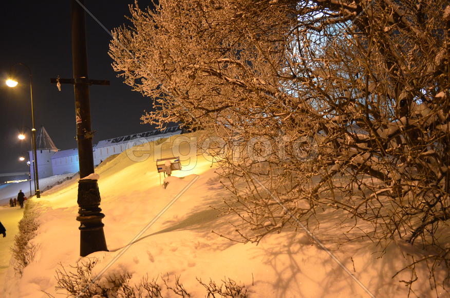 Сирень зимой