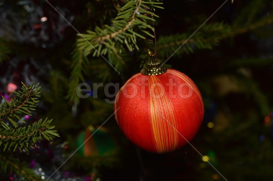 Елочная игрушка на елке 