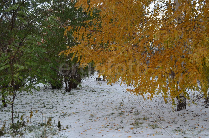 Зима сменяет осень
