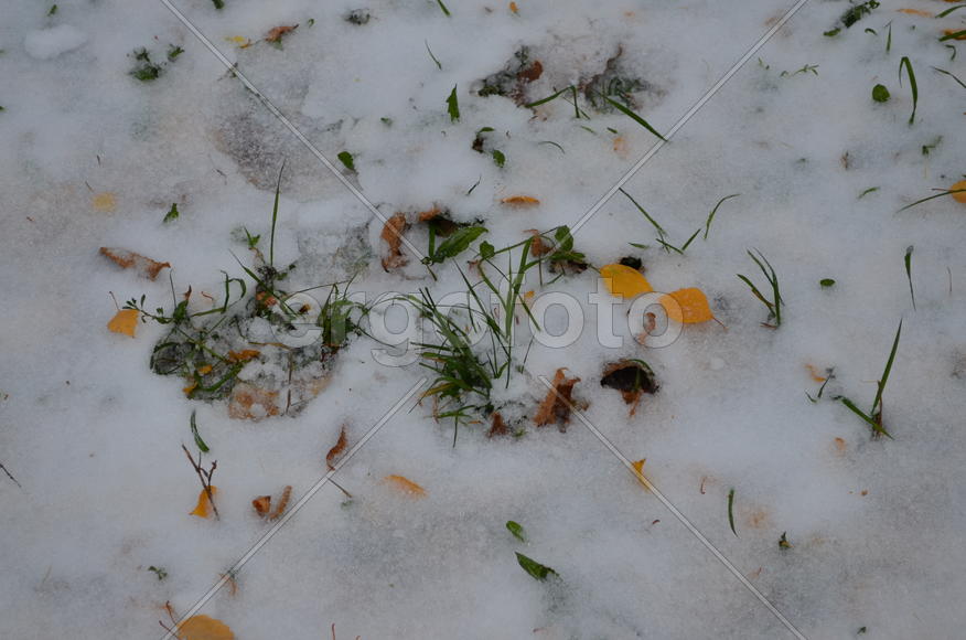 Октябрь уж наступил