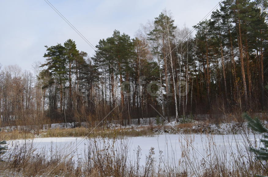 Озерко под снегом