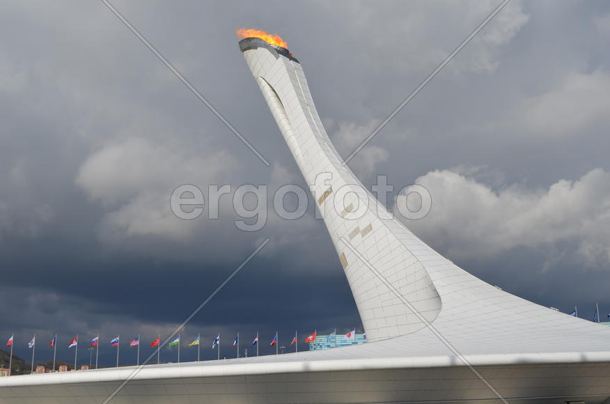 Сочи. Олимпийский огонь. 