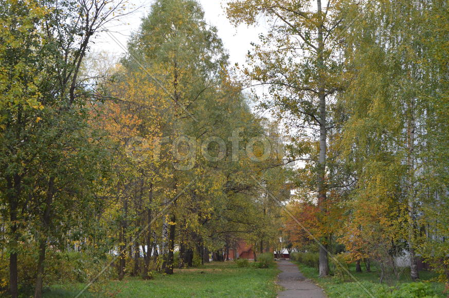 Пейзажи золотой осени в городе  и городских парках 
