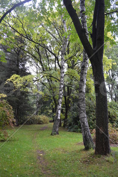 По тропинке