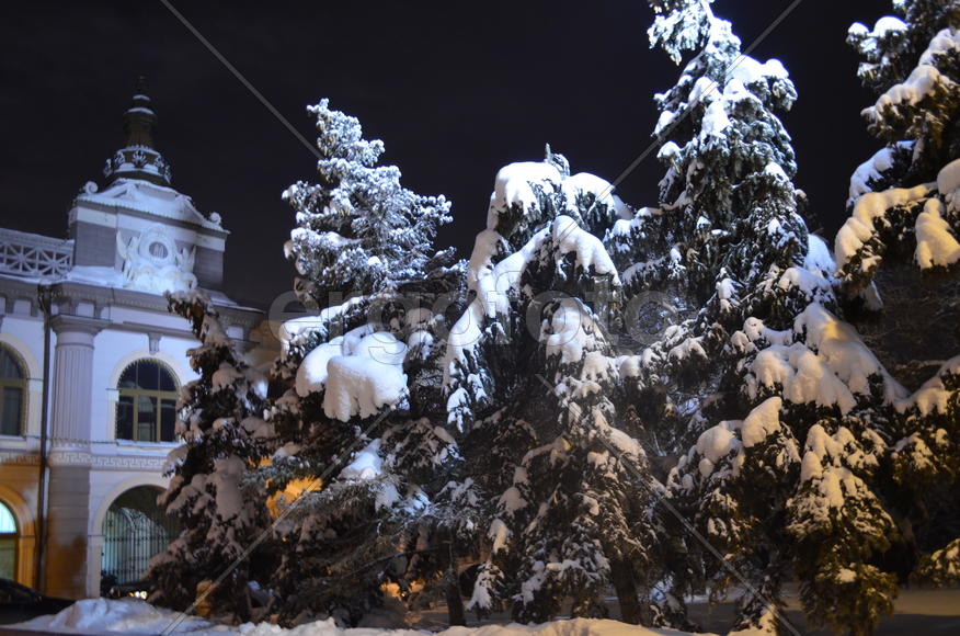 Дивная ночь