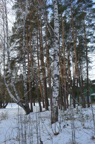 Однажды в ноябре