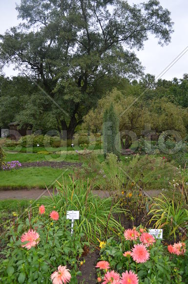 Осенняя пора