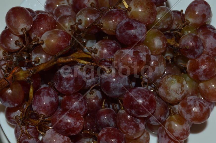 Гроздь винограда с крупными ягодами 