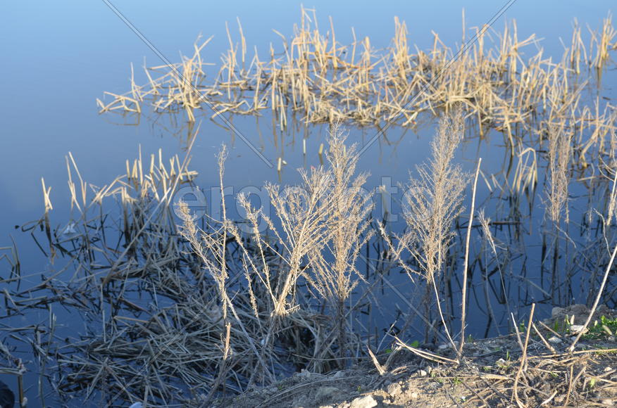 Водная гладь