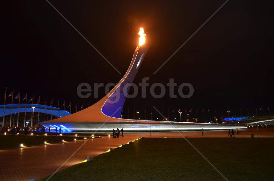 Сочи. Олимпийский парк ночью 