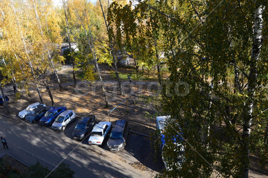 Золотая осень. Пожелтевшая листва ранней осени 