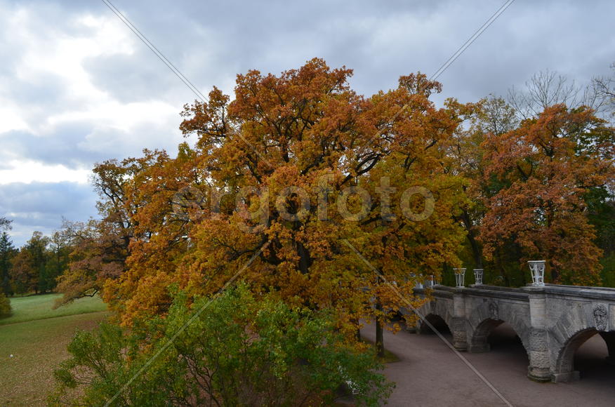 Царское Село. Екатерининский парк. Пандус Камерона 