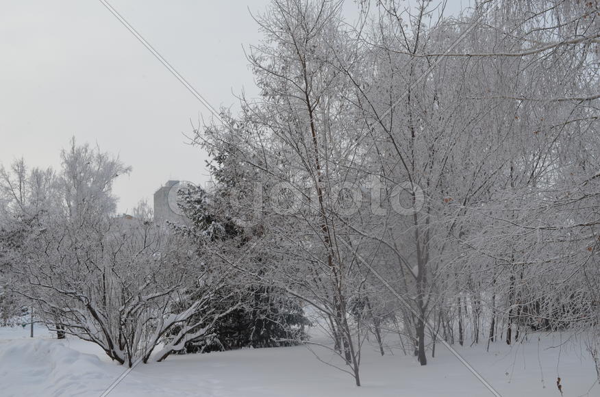 Белоснежка