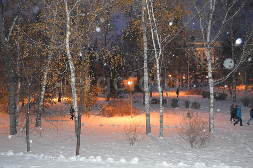 Казань. Заснеженный зимний парк 