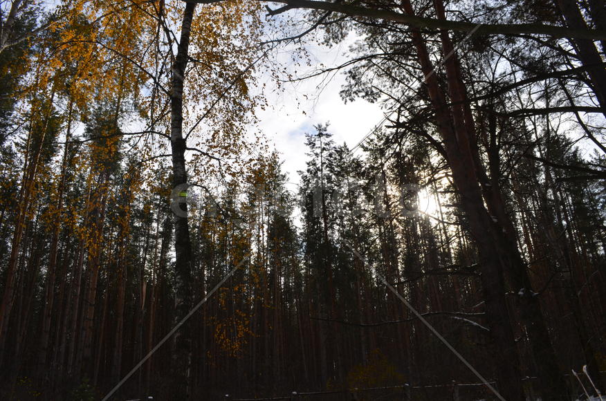 Против солнца