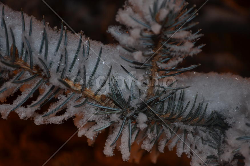 Искристый снег