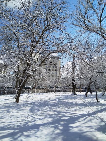 Тени на снегу