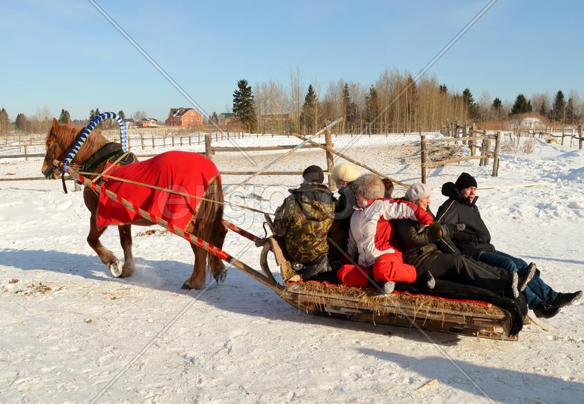 Масленица. Катание на лошадях