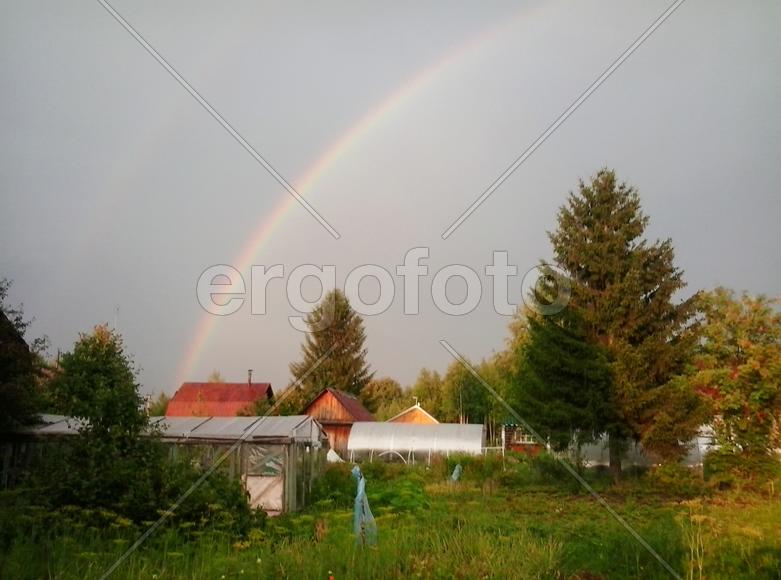 После дождя