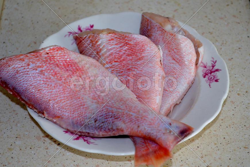 Морской окунь