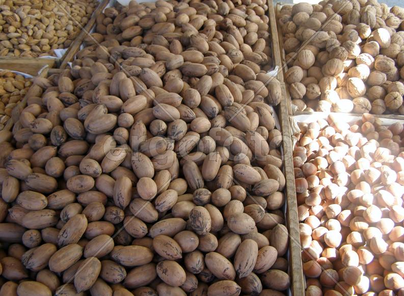 Кипр. Горы орехов