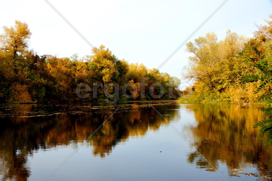 Пейзаж у Дона, речка Барсовка