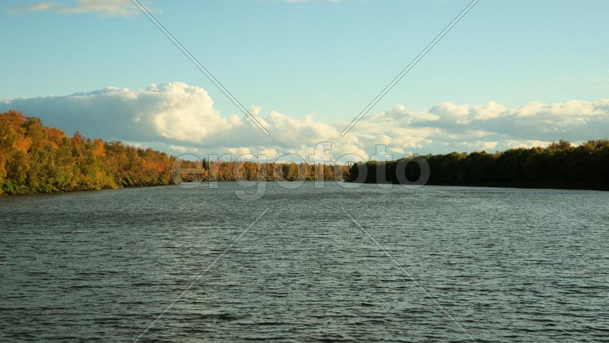 Речной пейзаж