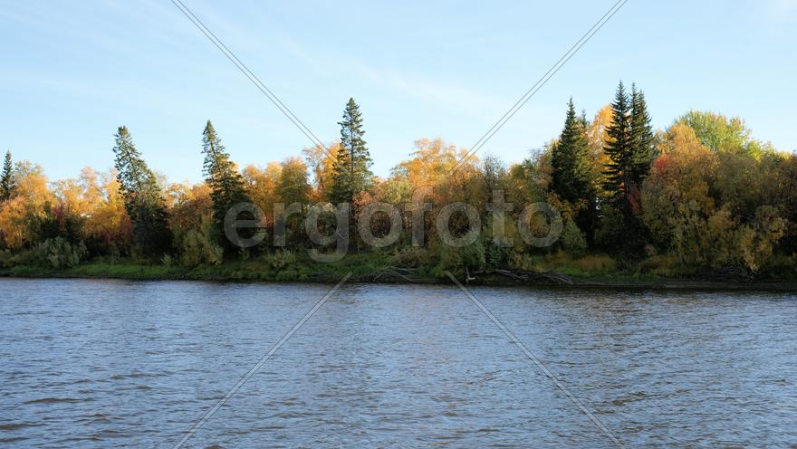 Речной пейзаж