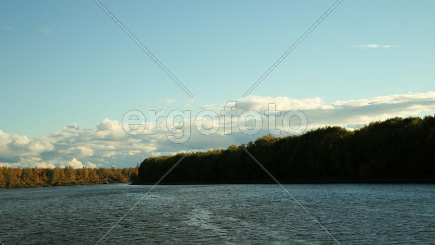 Речной пейзаж