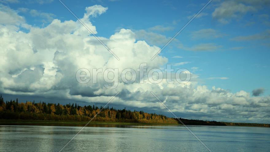 Облака над лесом