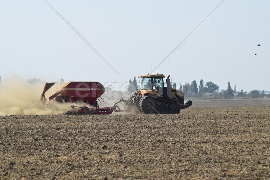 Russia, Temryuk - 19 July 2015: Tractor rides on the field and makes the fertilizer into the soil. C