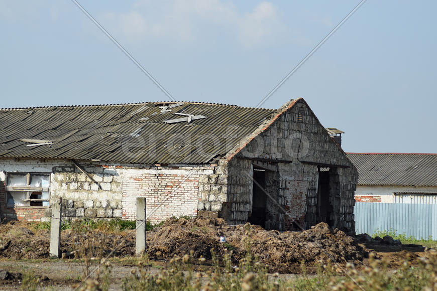 Abandoned cow farm. The ruins of the Soviet collective farms