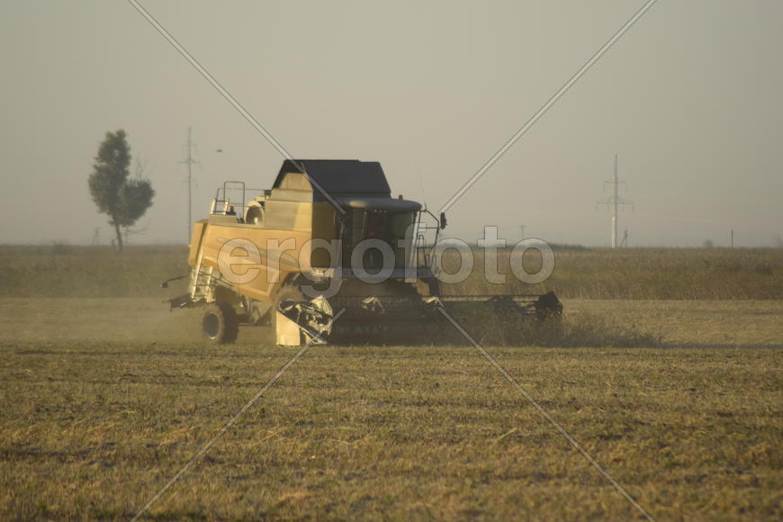 Soy harvesting by combines in the field. Agricultural machinery in operation.