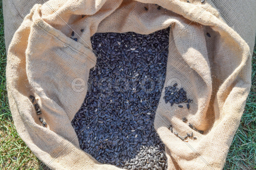 Сумка из мешковины и семян подсолнечника