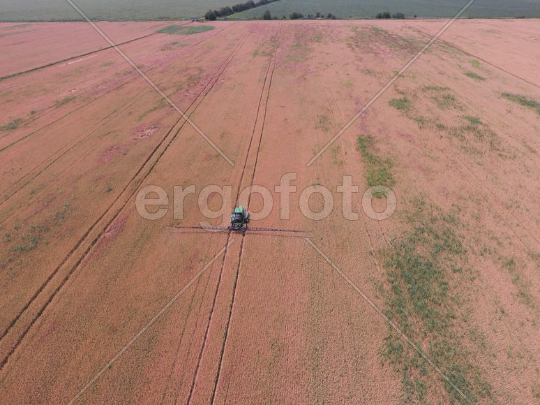Adding herbicide tractor on the field of ripe wheat. Growing crops in the fields. View from above.