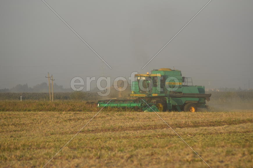 Soy harvesting by combines in the field. Agricultural machinery in operation.