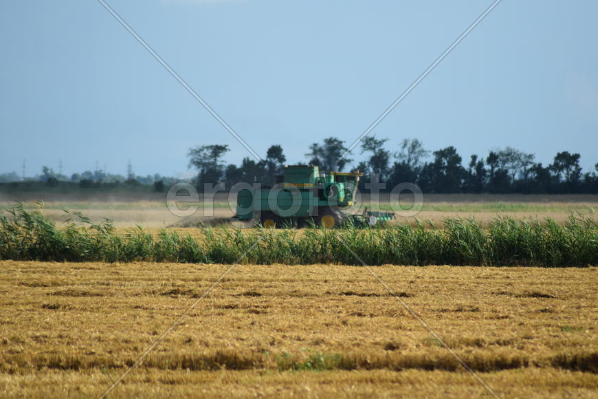 Combine harvester. Agricultural machinery for harvesting from the fields.