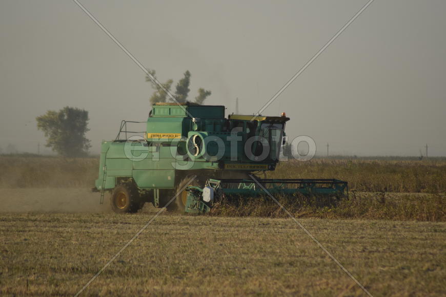 Soy harvesting by combines in the field. Agricultural machinery in operation.