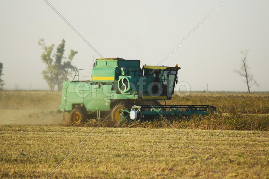 Soy harvesting by combines in the field. Agricultural machinery in operation.