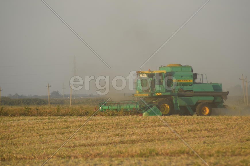 Soy harvesting by combines in the field. Agricultural machinery in operation.