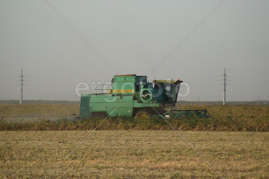 Soy harvesting by combines in the field. Agricultural machinery in operation.