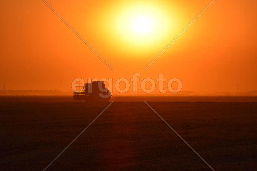 Harvesting by combines at sunset. Agricultural machinery in operation.