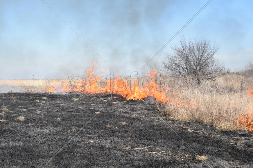 Burning dry grass and reeds. Cleaning the fields and ditches of the thickets of dry grass