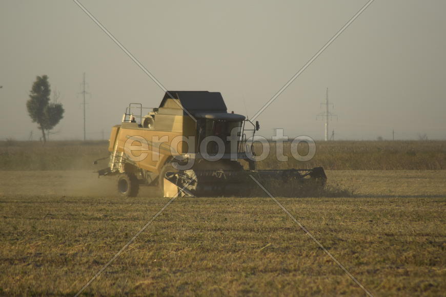 Soy harvesting by combines in the field. Agricultural machinery in operation.