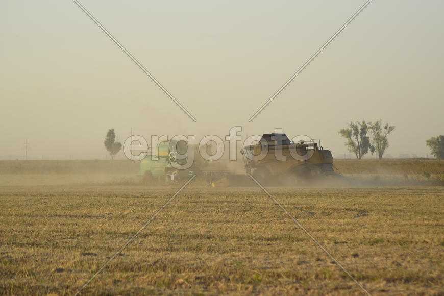 Soy harvesting by combines in the field. Agricultural machinery in operation.