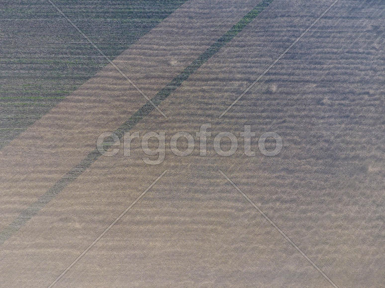 Фоновая текстура поверхности вспаханного поля