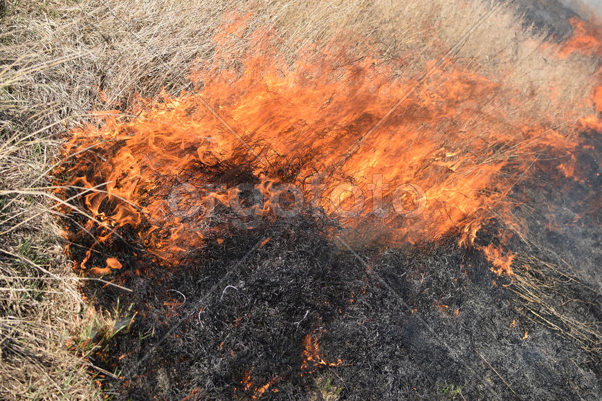 Burning dry grass and reeds. Cleaning the fields and ditches of the thickets of dry grass