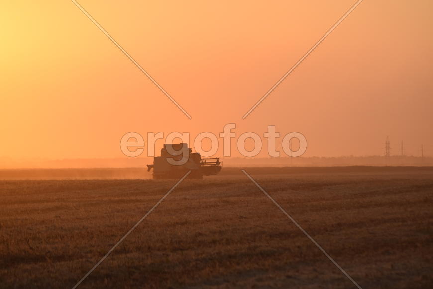Harvesting by combines at sunset. Agricultural machinery in operation.