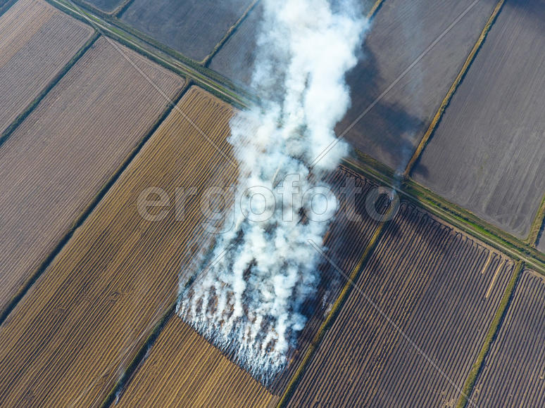 Сжигание рисовой соломы на полях. Дым от сжигания рисовой соломы